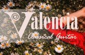 Новинки гитар Valencia